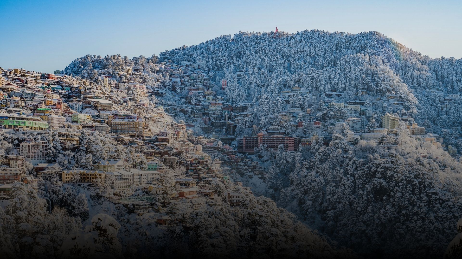 Social Media Analytics Dashboard